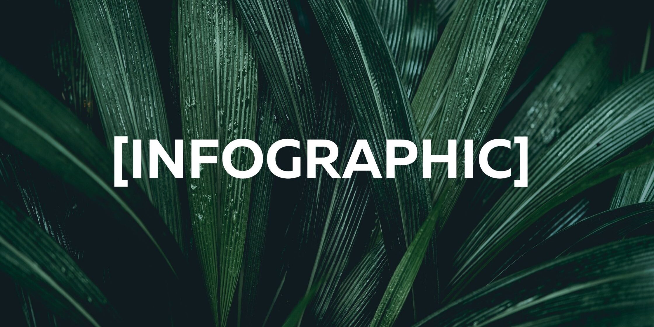 Flourishblogbanner 6 Ineffective Marketing Strategies (Infographic)