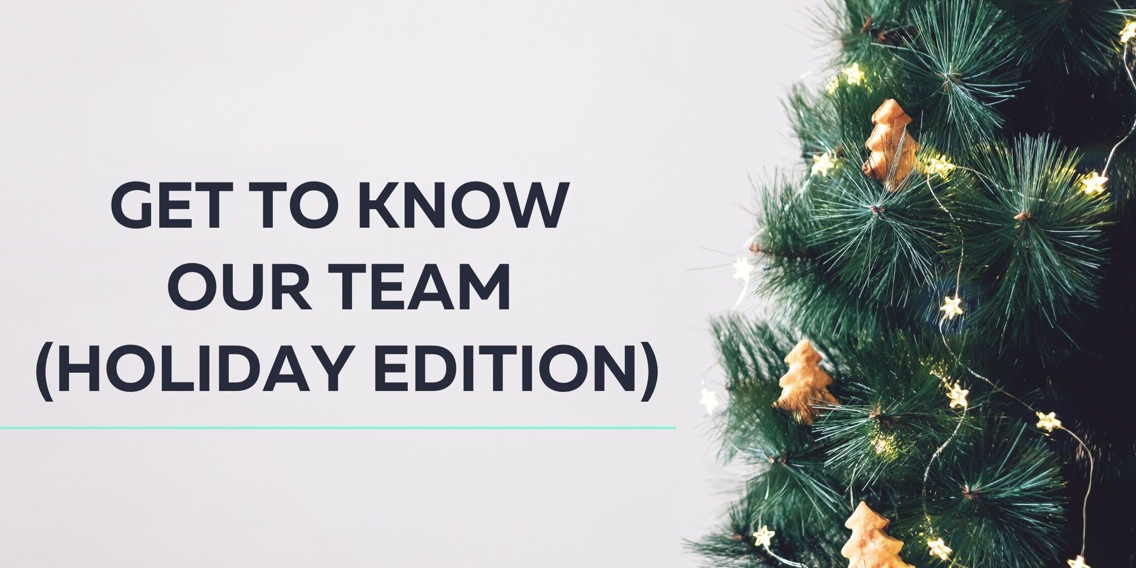 Get to Know Our Team (Holiday Edition)